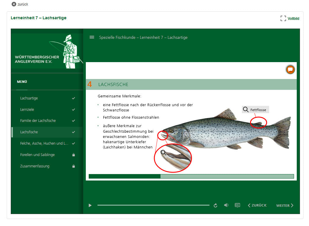 Online lernen für die Fischerprüfung.
